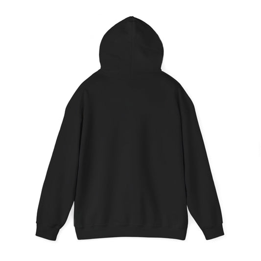 Men's Hoodie (Multi-Color) - Cozy Layers | Ljiljan Atletika