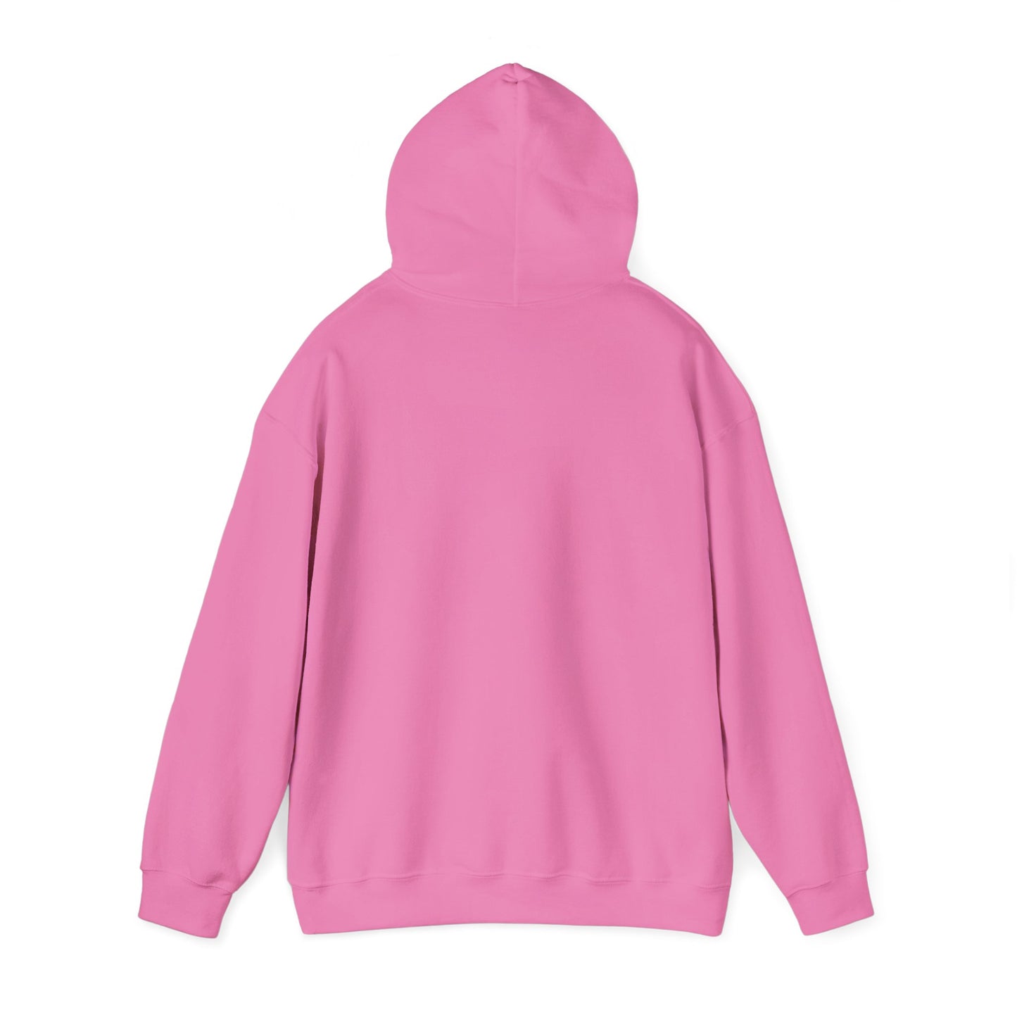Women's Hoodie (Multi-Color) - Cozy Layers | Ljiljan Atletika
